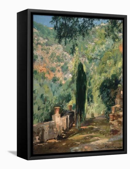 Garden-Eliseo Meifren-Framed Stretched Canvas