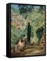 Garden-Eliseo Meifren-Framed Stretched Canvas