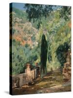 Garden-Eliseo Meifren-Stretched Canvas