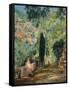 Garden-Eliseo Meifren-Framed Stretched Canvas