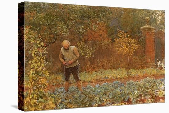 Gardener and Cabbages, 1870-Frederick Walker-Stretched Canvas