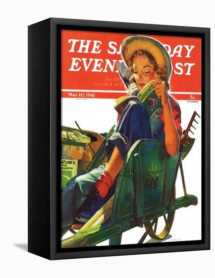 "Gardener in Wheelbarrow," Saturday Evening Post Cover, May 10, 1941-Dominice Cammerota-Framed Stretched Canvas