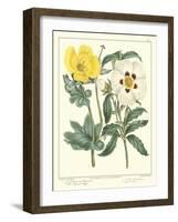 Gardener's Delight III-Sydenham Teast Edwards-Framed Art Print