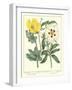 Gardener's Delight III-Sydenham Teast Edwards-Framed Art Print