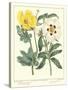 Gardener's Delight III-Sydenham Teast Edwards-Stretched Canvas