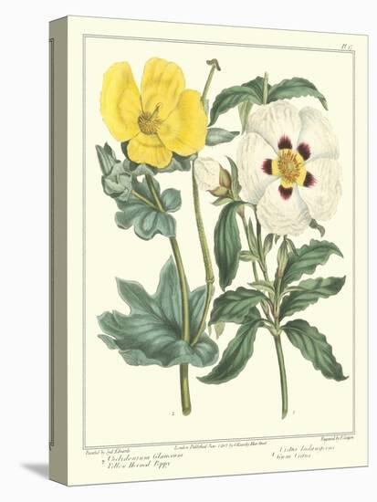 Gardener's Delight III-Sydenham Teast Edwards-Stretched Canvas