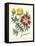Gardener's Delight VII-Sydenham Teast Edwards-Framed Stretched Canvas