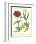 Gardener's Delight VIII-Sydenham Teast Edwards-Framed Art Print