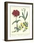 Gardener's Delight VIII-Sydenham Teast Edwards-Framed Art Print