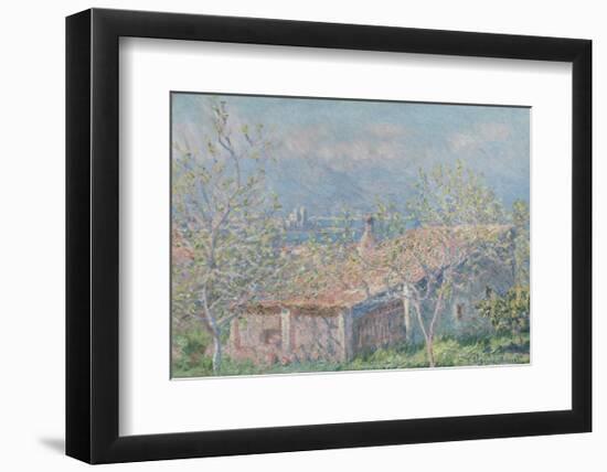 Gardener's House at Antibes, c.1888-Claude Monet-Framed Art Print