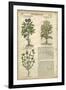 Gardener's Journal III-Vision Studio-Framed Art Print