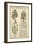 Gardener's Journal III-Vision Studio-Framed Art Print