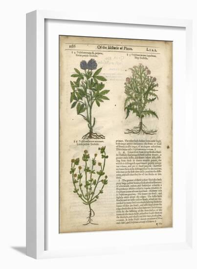 Gardener's Journal III-Vision Studio-Framed Art Print