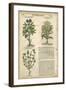 Gardener's Journal III-Vision Studio-Framed Art Print