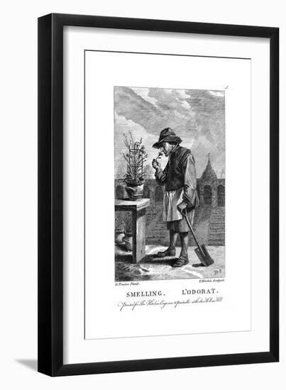 Gardener Smelling a Carnation or Pink (Dianthu), C1750-Thomas Kitchin-Framed Premium Giclee Print