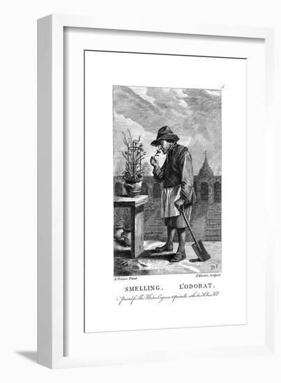 Gardener Smelling a Carnation or Pink (Dianthu), C1750-Thomas Kitchin-Framed Giclee Print