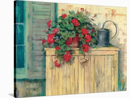 Gardeners Still Life-Carol Rowan-Stretched Canvas