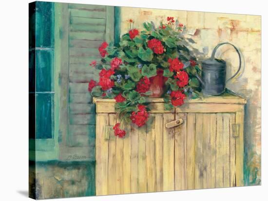 Gardeners Still Life-Carol Rowan-Stretched Canvas