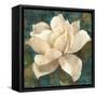 Gardenia Blossom Turquoise-Albena Hristova-Framed Stretched Canvas