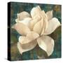 Gardenia Blossom Turquoise-Albena Hristova-Stretched Canvas