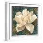 Gardenia Blossom Turquoise-Albena Hristova-Framed Art Print