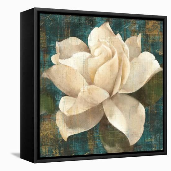 Gardenia Blossom Turquoise-Albena Hristova-Framed Stretched Canvas