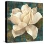 Gardenia Blossom Turquoise-Albena Hristova-Stretched Canvas