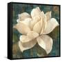 Gardenia Blossom Turquoise-Albena Hristova-Framed Stretched Canvas