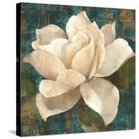 Gardenia Blossom Turquoise-Albena Hristova-Stretched Canvas