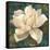 Gardenia Blossom Turquoise-Albena Hristova-Framed Stretched Canvas