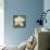 Gardenia Blossom Turquoise-Albena Hristova-Art Print displayed on a wall