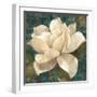 Gardenia Blossom Turquoise-Albena Hristova-Framed Art Print