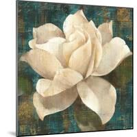 Gardenia Blossom Turquoise-Albena Hristova-Mounted Art Print