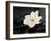 Gardenia Flower-crystalfoto-Framed Photographic Print