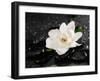 Gardenia Flower-crystalfoto-Framed Photographic Print