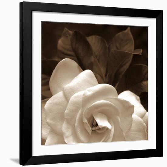 Gardenia Garden-Rebecca Swanson-Framed Art Print