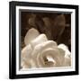 Gardenia Garden-Rebecca Swanson-Framed Art Print