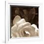 Gardenia Garden-Rebecca Swanson-Framed Art Print