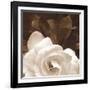 Gardenia Garden-Rebecca Swanson-Framed Photographic Print