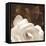 Gardenia Garden-Rebecca Swanson-Framed Stretched Canvas