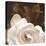 Gardenia Garden-Rebecca Swanson-Stretched Canvas