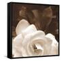 Gardenia Garden-Rebecca Swanson-Framed Stretched Canvas