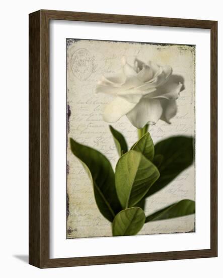 Gardenia Grunge I-Honey Malek-Framed Art Print