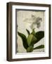 Gardenia Grunge I-Honey Malek-Framed Art Print