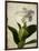 Gardenia Grunge I-Honey Malek-Framed Art Print
