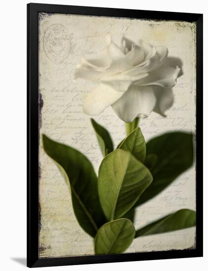 Gardenia Grunge I-Honey Malek-Framed Art Print