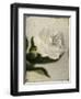 Gardenia Grunge II-Honey Malek-Framed Art Print