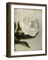 Gardenia Grunge II-Honey Malek-Framed Art Print