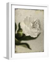 Gardenia Grunge II-Honey Malek-Framed Art Print