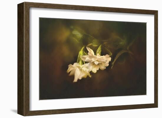 Gardenia in the Garden-Jai Johnson-Framed Giclee Print